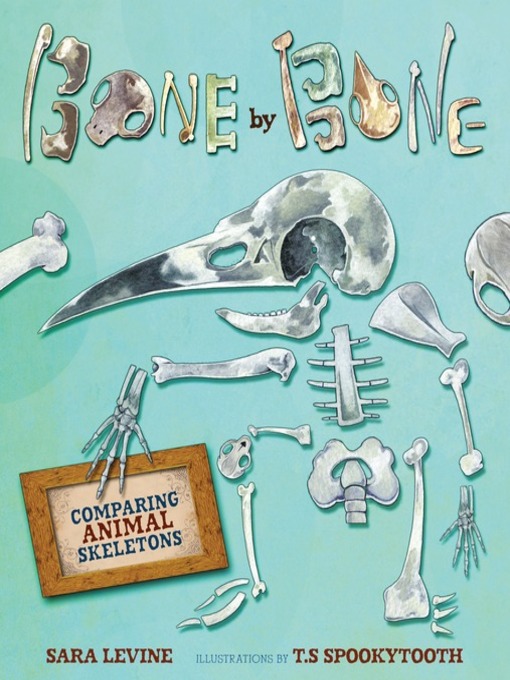 Title details for Bone by Bone by Sara Levine - Wait list